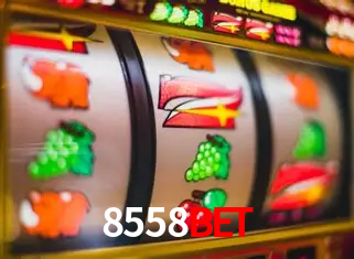 Descubra o Mundo do Cassino Online com 8558bet